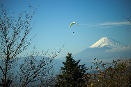 person parachuting under trees thumbnail