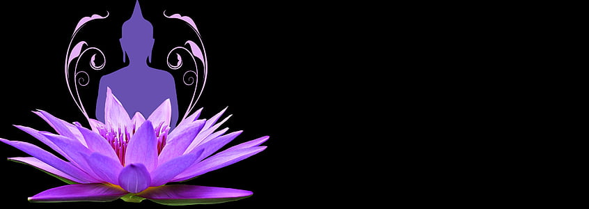 purple lotus flower with Gautama Buddha thumbnail