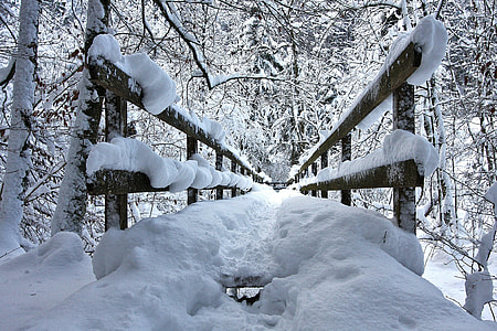 brown wooden dock bridge covered with snow thumbnail