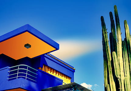low angle photography of cactus near concrete house thumbnail