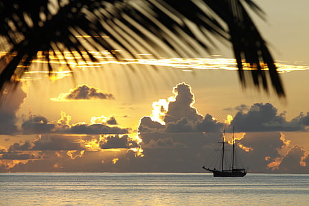 silhouette of coconut tree and sailing boat in the ocean during sunset thumbnail