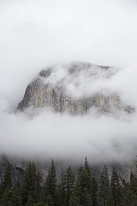Yosemite Valley National Park at foggy morning thumbnail