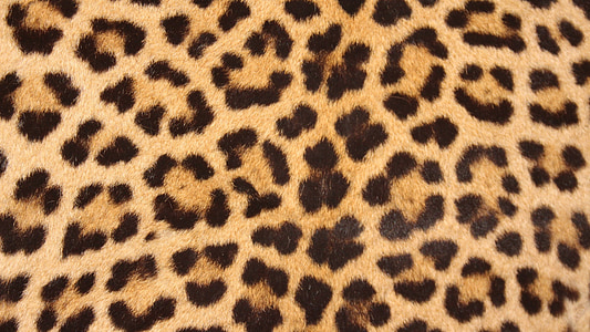 brown and black leopard textile thumbnail
