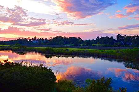 photo of grass field body of water during golden hour thumbnail