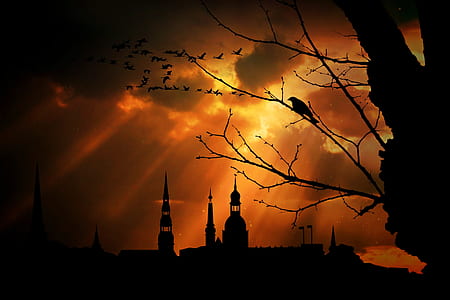 silhouette photo of high-rise buildings and bird perched on withered tree thumbnail