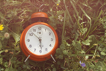 orange single-bell alarm clock on grass thumbnail