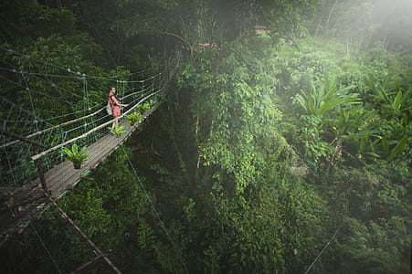Girl Wearing Pink Dress Standing on Bridge Above Trees thumbnail