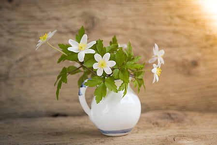 green plant with yellow and white flowers in white vase thumbnail