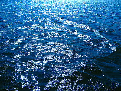 body of water at daytime thumbnail