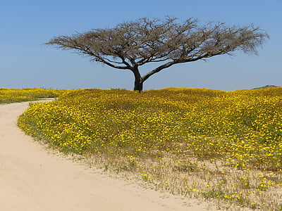green tree surrounded with flowers thumbnail