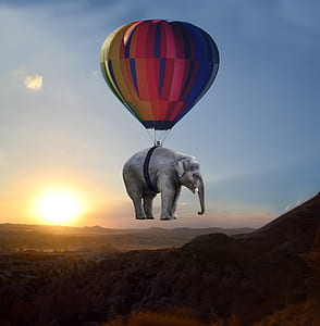 hot air balloon elephant illustration thumbnail