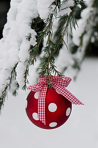 red and white bauble hanged on tree covered by snow thumbnail