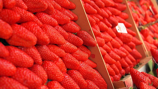 strawberry on shelf thumbnail