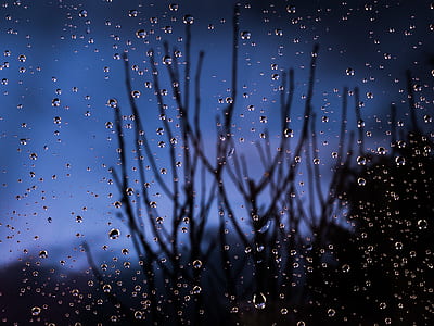 Macro Photography of Water Dew thumbnail