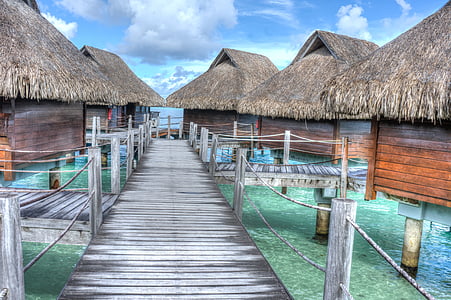 brown huts above sea thumbnail