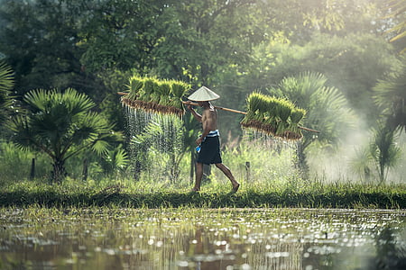 man carrying stick with grasses standing near body of water thumbnail