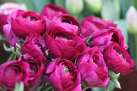 selective-focus photography of pink petaled flowers bouquet thumbnail