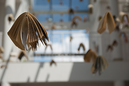 selective focus photography of hanging books thumbnail