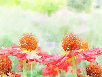 pink and orange petaled flowers painting thumbnail