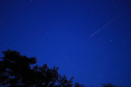 silhouette of trees under starry night thumbnail