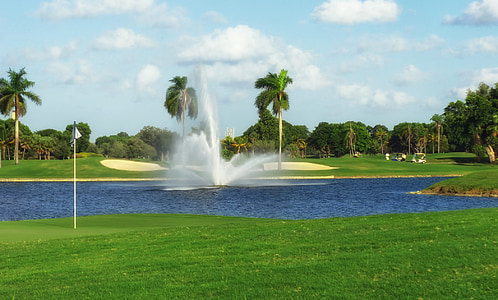 water fountain in lagoon near trees thumbnail