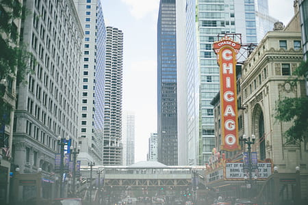 Chicago signage during daytime thumbnail