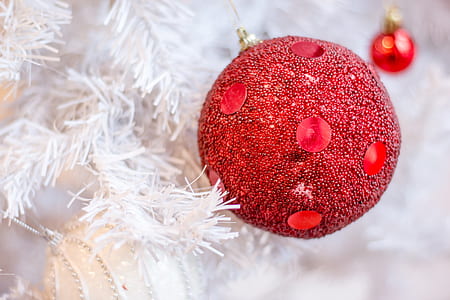 red bauble on white Christmas tree thumbnail