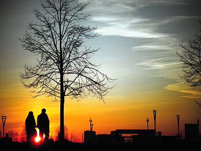 dawn, landscape, nature, sky thumbnail