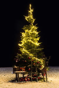 Christmas tree with string lights thumbnail