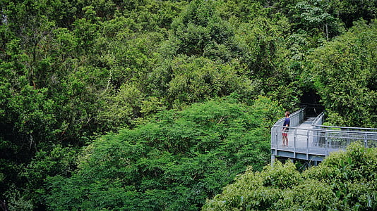 person standing on gray metal bridge near green leaf trees during daytime photo thumbnail