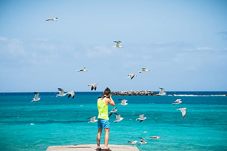 man taking photo of island surrounded by flock of flying birds thumbnail