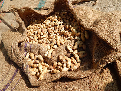 sack of peanut thumbnail