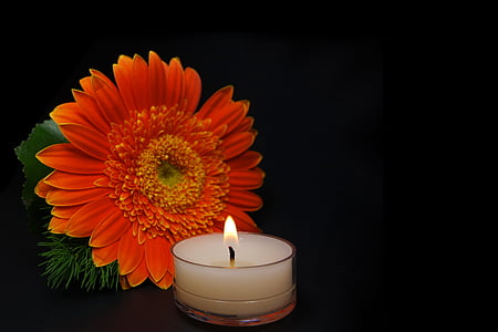 red gerbera daisy beside lighted tealight thumbnail