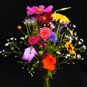 red and pink Cosmos and red Zinnia and purple Dianthus, yellow and brown Pansy flower bouquet thumbnail