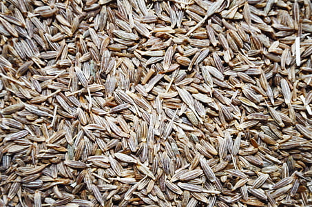 seed lot thumbnail