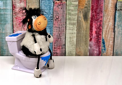 cow sitting on flush toilet min miniature on surface thumbnail