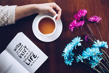 person holding ceramic cup near book thumbnail