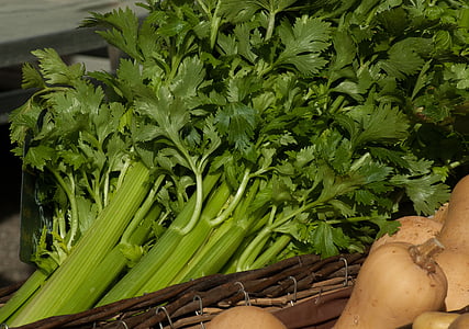 bunch of celery thumbnail