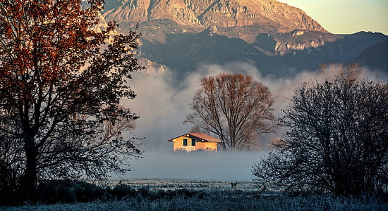 photo of house surrounded by trees thumbnail