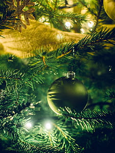 selective focus photography of green ornament on tree thumbnail