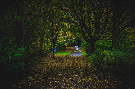 Photo of a Person Walking thumbnail