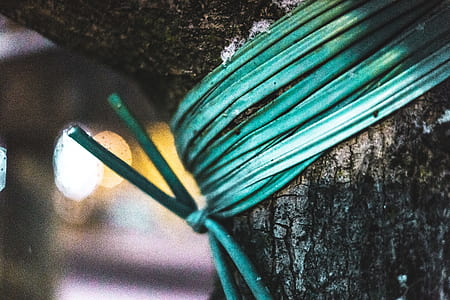 Green Rope Tied on Tree thumbnail
