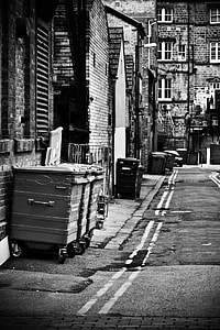 grayscale photo of garbage bin behind buildings thumbnail