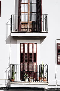 three green cactus plants near brown wooden louvered door building at daytime thumbnail