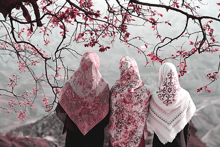 group of woman standing under cherry blossom tree thumbnail