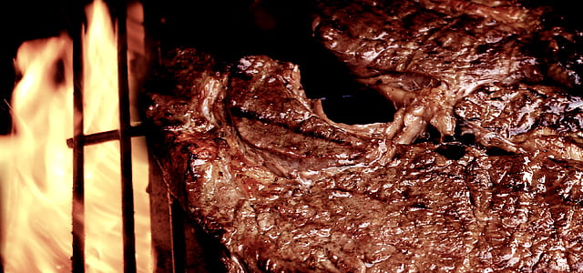 closeup photo of grilled meat thumbnail