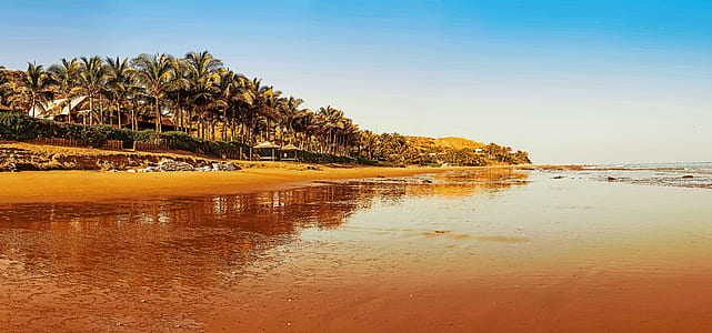 seashore near palm trees and rock formations thumbnail