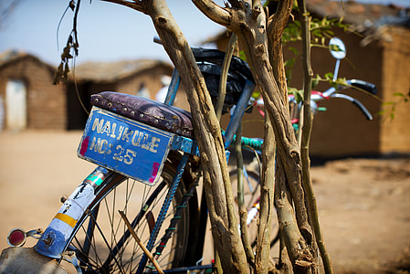 blue city bicycle beside tree branch thumbnail