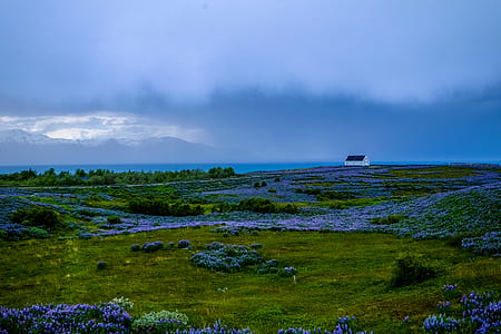 landscape, nature, sky, clouds thumbnail