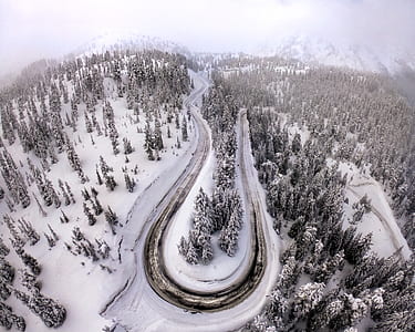 aerial photo of road in the middle of trees thumbnail